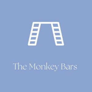 Read more about the article The Monkey Bars