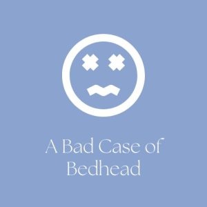 Read more about the article A Bad Case of Bedhead